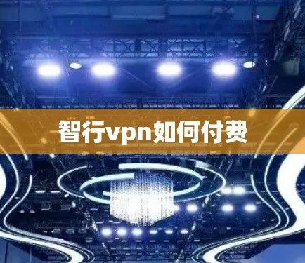 智行vpn如何付费