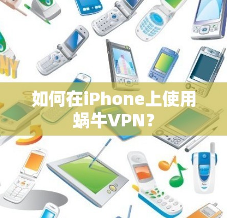 如何在iPhone上使用蜗牛VPN？